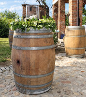 Barril de madera segunda mano 225 litros, barril en madera natural para eventos o negocios