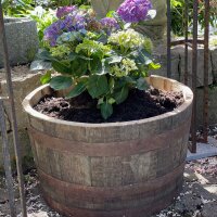 Maceta de madera, medio barril macetero para jardín, media barrica decoración - barril de whisky